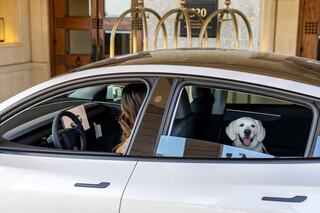A woman sits in the driver's seat of a car, while a happy dog enjoys the ride in the backseat, with a stylish hotel entrance in the background.