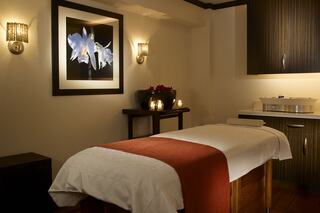 A serene spa room featuring a massage table with a soft blanket, calming decor, and ambient lighting, ideal for relaxation and rejuvenation.