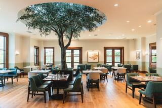 A contemporary dining area with wooden floors, green and white decor, and a large tree centerpiece, featuring stylish seating arrangements.