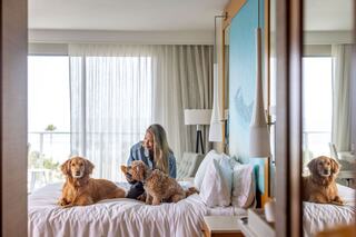 A woman sits on a bed, surrounded by two dogs, enjoying a cozy moment in a bright, modern hotel room with a scenic view.
