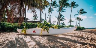 A white canoe rests on sandy beach, adorned with greenery, surrounded by tall palm trees and a clear blue sky. Tropical paradise vibes.