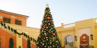 A beautifully decorated Christmas tree stands amidst festive architecture, adorned with ornaments and a star, evoking holiday cheer.