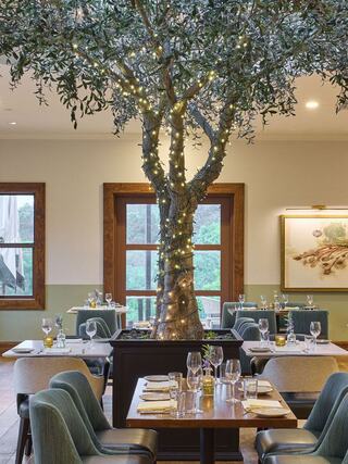 A dining area features a large, illuminated olive tree as a centerpiece, surrounded by elegant tables and chairs with a cozy yet modern ambiance.