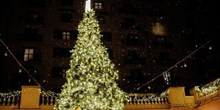 A beautifully lit Christmas tree sparkles under snow, surrounded by a warm, festive atmosphere and twinkling lights in the night.