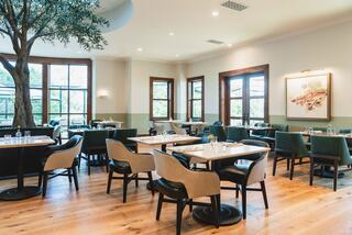 A bright, modern restaurant features wooden flooring, green and beige seating, large windows, and a central tree for a cozy ambiance.