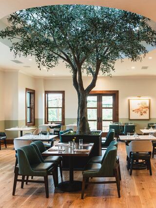 A stylish dining space features a large indoor tree, surrounded by elegant tables and chairs, showcasing a warm, inviting atmosphere.