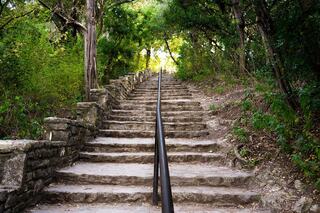 A winding stone staircase leads through lush greenery, illuminated by soft light at the top, inviting exploration and adventure.
