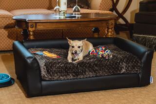 A small dog relaxes on a plush, stylish pet bed, surrounded by colorful toys in a cozy living room setting.