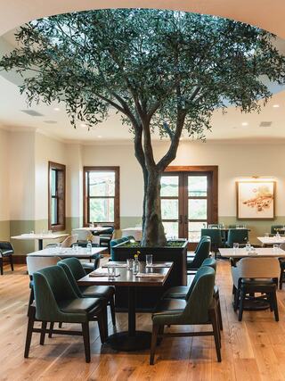 A cozy restaurant features green cushioned chairs, wooden tables, and a large central tree, creating a warm, inviting atmosphere.
