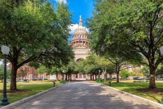 A grand dome rises behind a tree-lined pathway, leading toward a stately building surrounded by lush greenery and a clear blue sky.