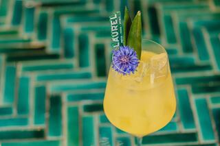 A vibrant cocktail garnished with a blue flower and green leaves, served in a clear glass on a textured turquoise surface.