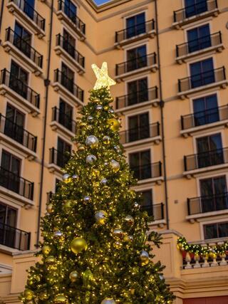 A beautifully decorated Christmas tree with sparkling lights and a star topper stands against a backdrop of a grand building.