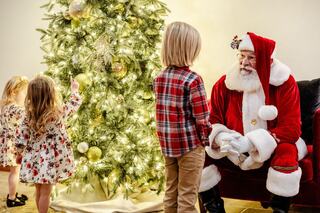 Two children interact with Santa Claus near a beautifully decorated Christmas tree, creating a festive and joyful holiday scene.