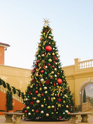 A tall, decorated Christmas tree adorned with colorful ornaments, ribbons, and a star topper stands elegantly in a festive setting.