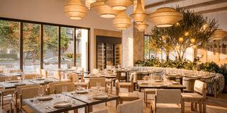 A chic restaurant with modern decor, wooden tables, cozy seating, and large windows letting in natural light, featuring greenery and stylish pendant lights.