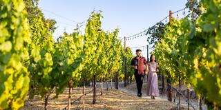 A couple strolls hand in hand through a sunlit vineyard, surrounded by lush green grapevines, enjoying a romantic outdoor setting.