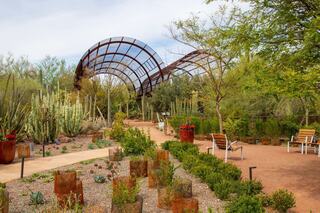 A serene desert garden features lush greenery, unique cacti, and rustic seating under a striking architectural structure.